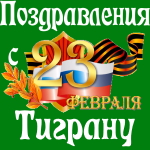 Аудио поздравления с днём защитника Отечества Тиграну 💪