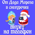 Поздравления с Новым Годом внуку 🎄 от Деда Мороза и Снегурочки на телефон 📲