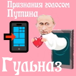 Признания в любви Гульназ голосом Путина