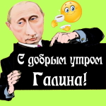 Пожелания доброго утра 🌞 Галине от Путина