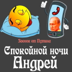 Пожелания спокойной ночи 🌜 Андрею от Путина