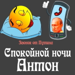 Пожелания спокойной ночи 🌜 Антону от Путина