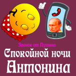 Пожелания спокойной ночи 🌜 Антонине от Путина