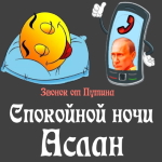 Пожелания спокойной ночи 🌜 Аслану от Путина