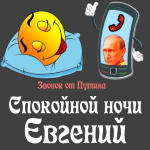 Пожелания спокойной ночи 🌜 Евгению от Путина