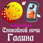 Пожелания спокойной ночи 🌜 Галине от Путина