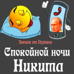 Пожелания спокойной ночи 🌜 Никите от Путина