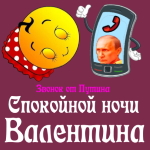 Пожелания спокойной ночи 🌜 Валентине от Путина