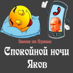 Пожелания спокойной ночи 🌜 Якову от Путина"
