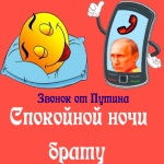 Пожелания спокойной ночи 🌜 от Путина брату