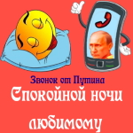 Пожелания спокойной ночи 🌜 от Путина любимому