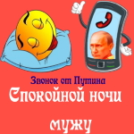 Пожелания спокойной ночи 🌜 мужу от Путина