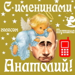 Поздравления с именинами Анатолию голосом Путина