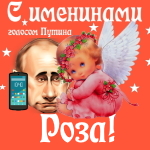 Поздравления с именинами Розе голосом Путина