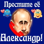 Путин передаст ваши извинения Александру 📞