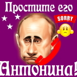Путин передаст ваши извинения Антонине 📞
