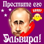 Путин передаст ваши извинения Эльвире 📞