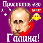 Путин передаст ваши извинения Галине 📞